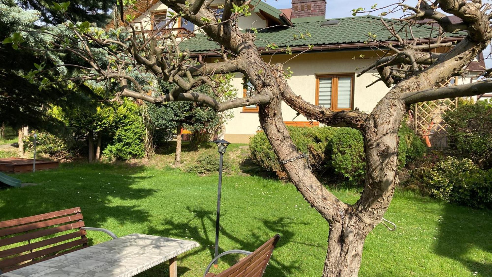 Apartamenty-Studio Noclegi Wczasy Wakacje Ferie - Pobyty Rodzinne Rabka Exteriér fotografie